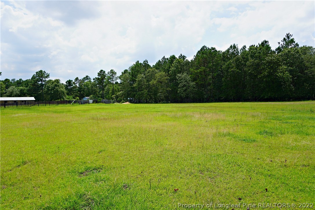 325 Kramer Road Lillington, NC 27546 - Photo 14 of 50 Gallery Image 14