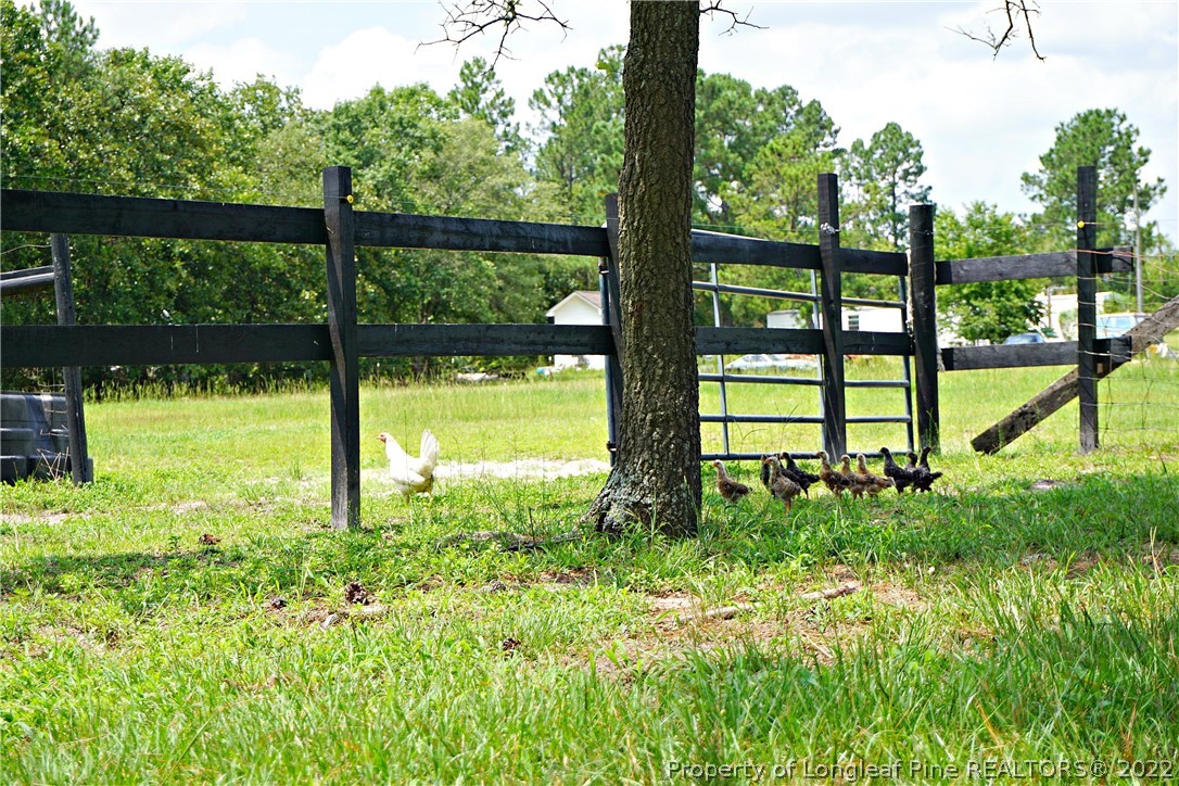 325 Kramer Road Lillington, NC 27546 - Photo 18 of 50 Gallery Image 18