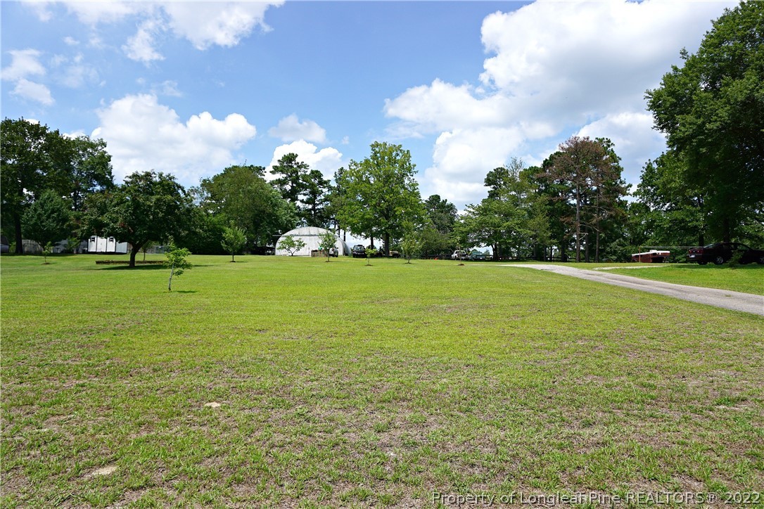 325 Kramer Road Lillington, NC 27546 - Photo 6 of 50 Gallery Image 6