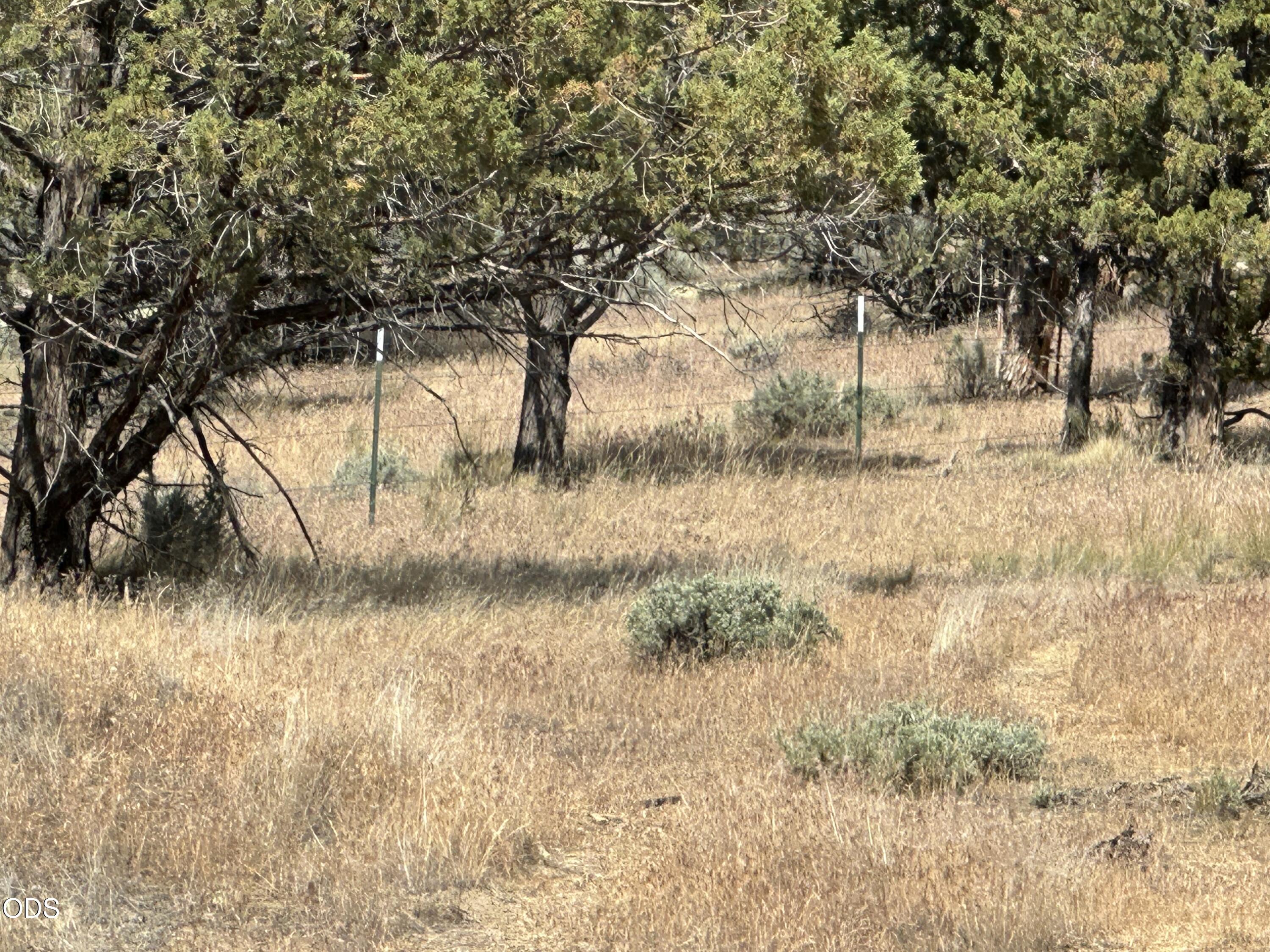 4705 Wittmer Road Prineville, OR 97754 - Photo 31 of 45