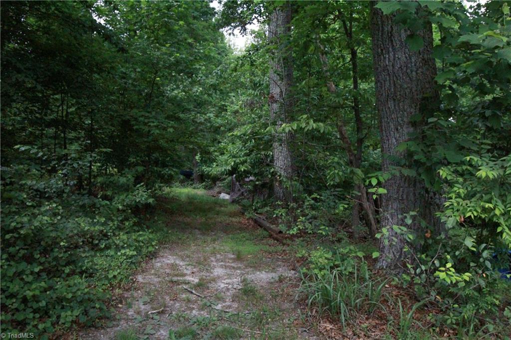 2067 Riverside Circle Eden, NC 27288 - Photo 24 of 50 Vacant wooded lot