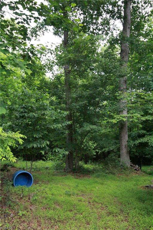 2067 Riverside Circle Eden, NC 27288 - Photo 25 of 50 Wooded lot