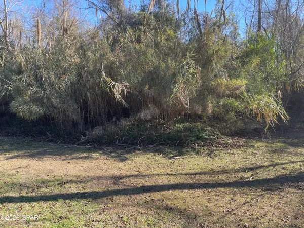 $135,000 | 0 Old Spanish Trail, Sneads, FL 32460