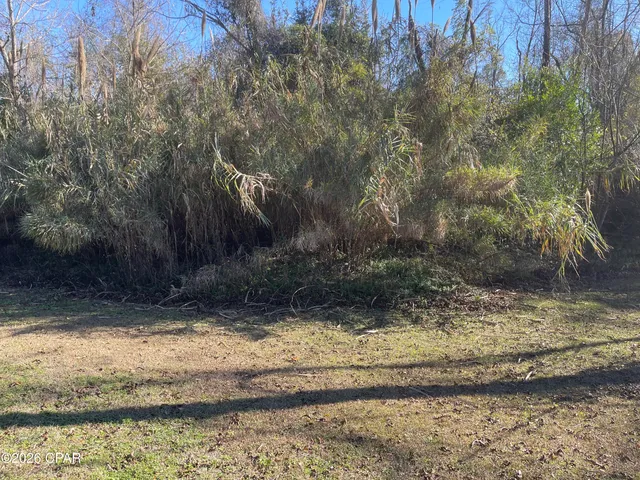 $135,000 | 0 Old Spanish Trail, Sneads, FL 32460