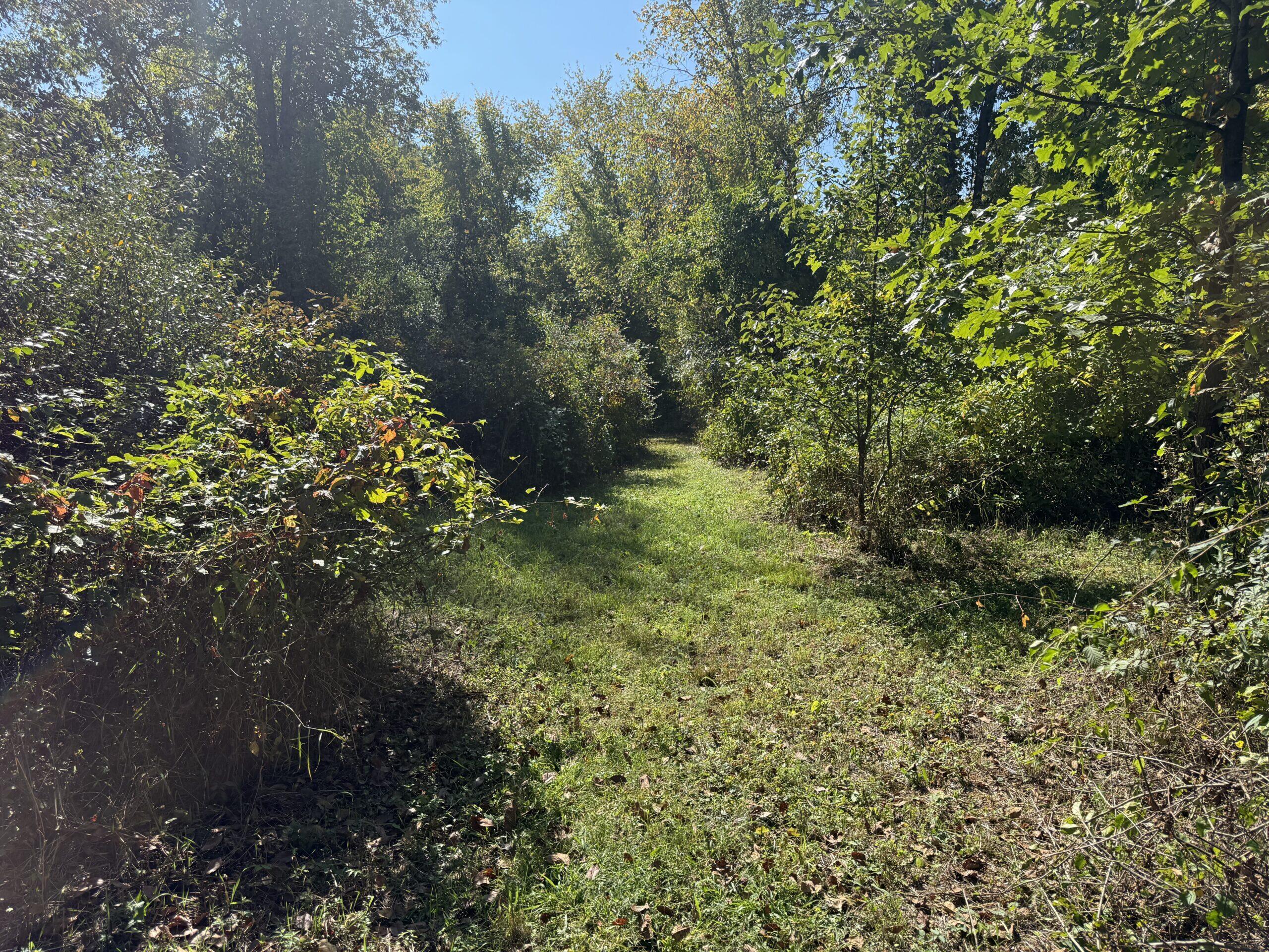 727 West Maple Road Milford, MI 48381 - Photo 11 of 21 10