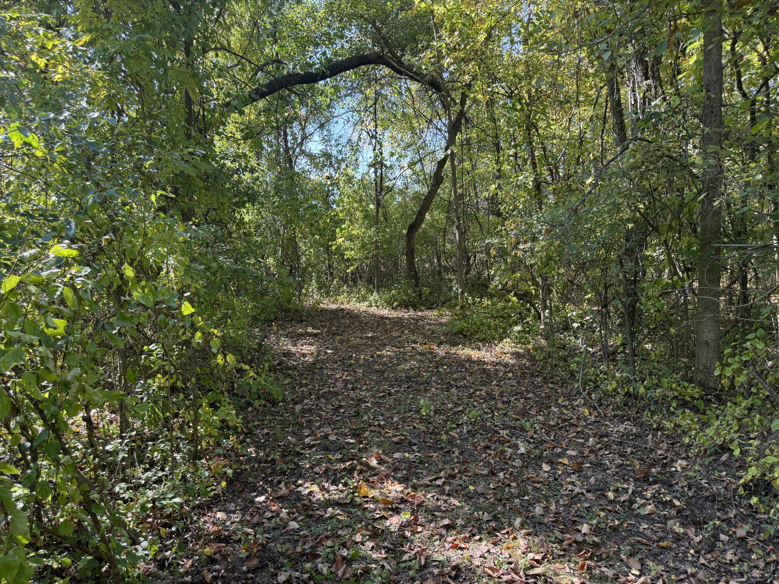 727 West Maple Road Milford, MI 48381 - Photo 12 of 21 11