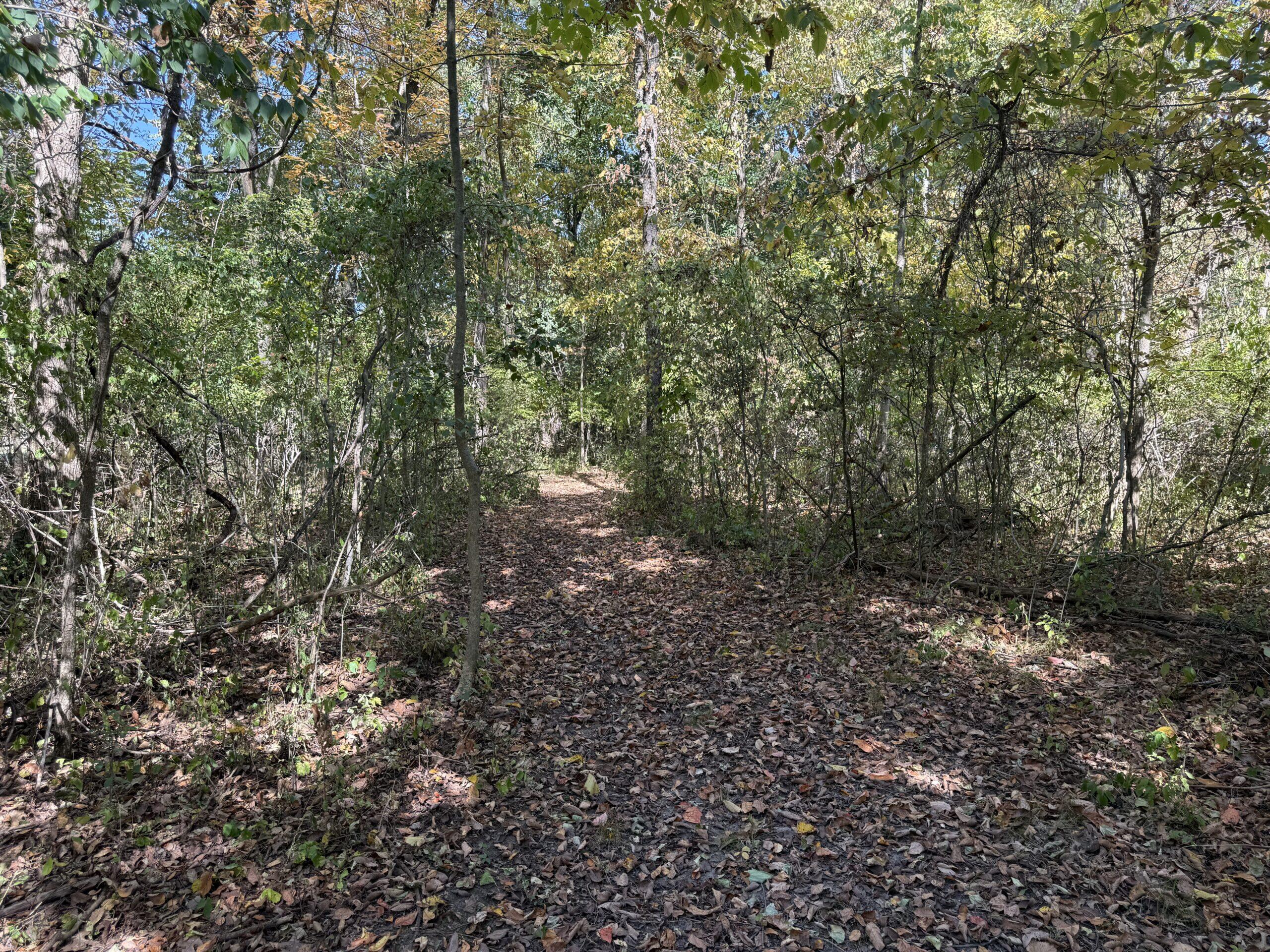 727 West Maple Road Milford, MI 48381 - Photo 13 of 21 12