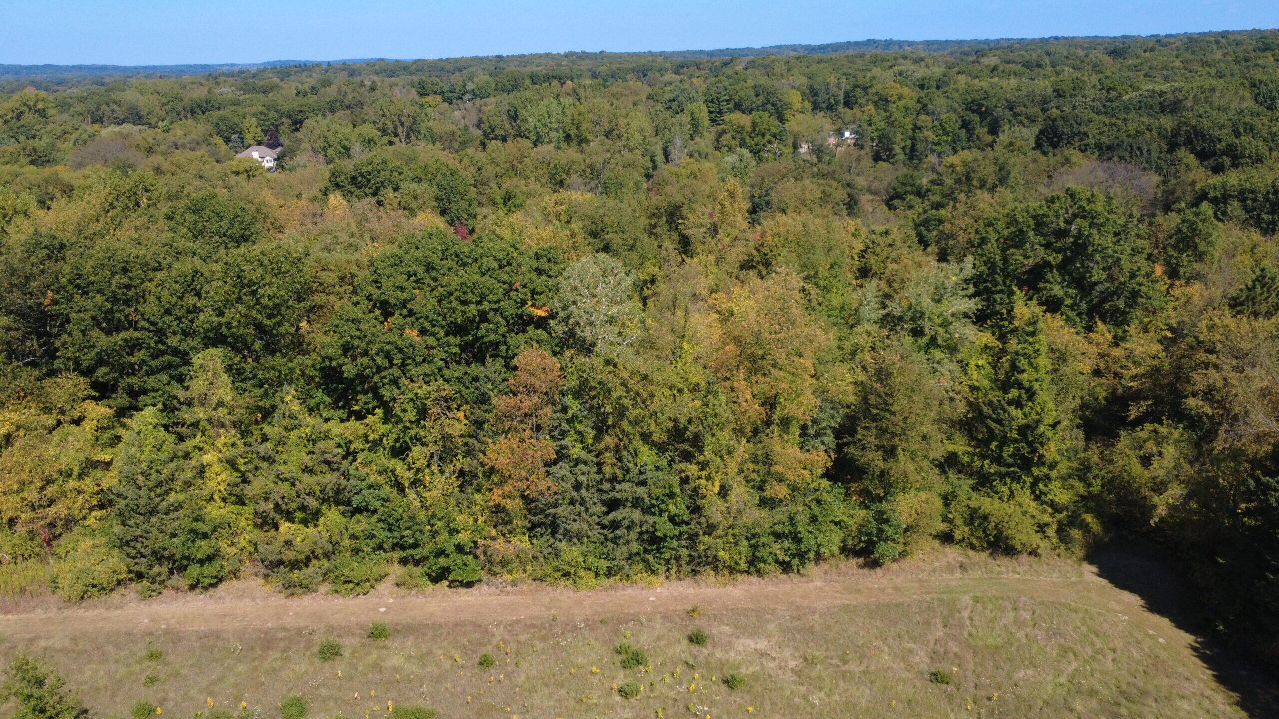 727 West Maple Road Milford, MI 48381 - Photo 9 of 21 8