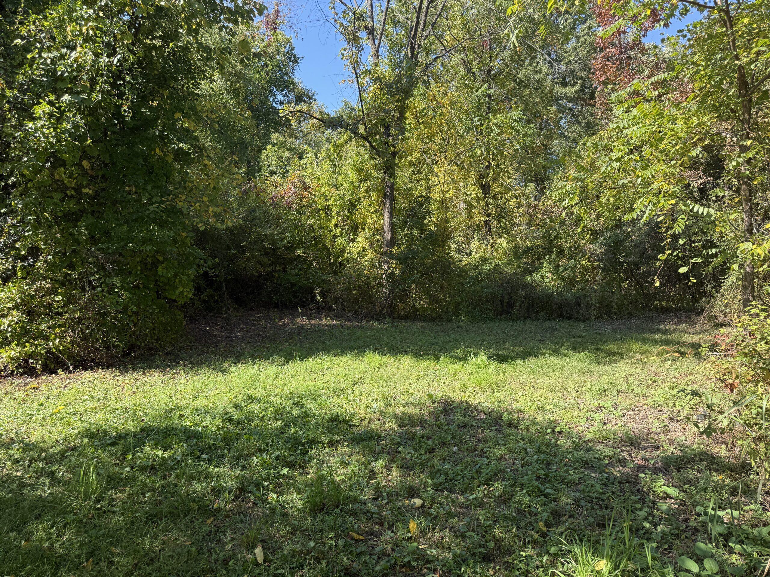 727 West Maple Road Milford, MI 48381 - Photo 10 of 21 9