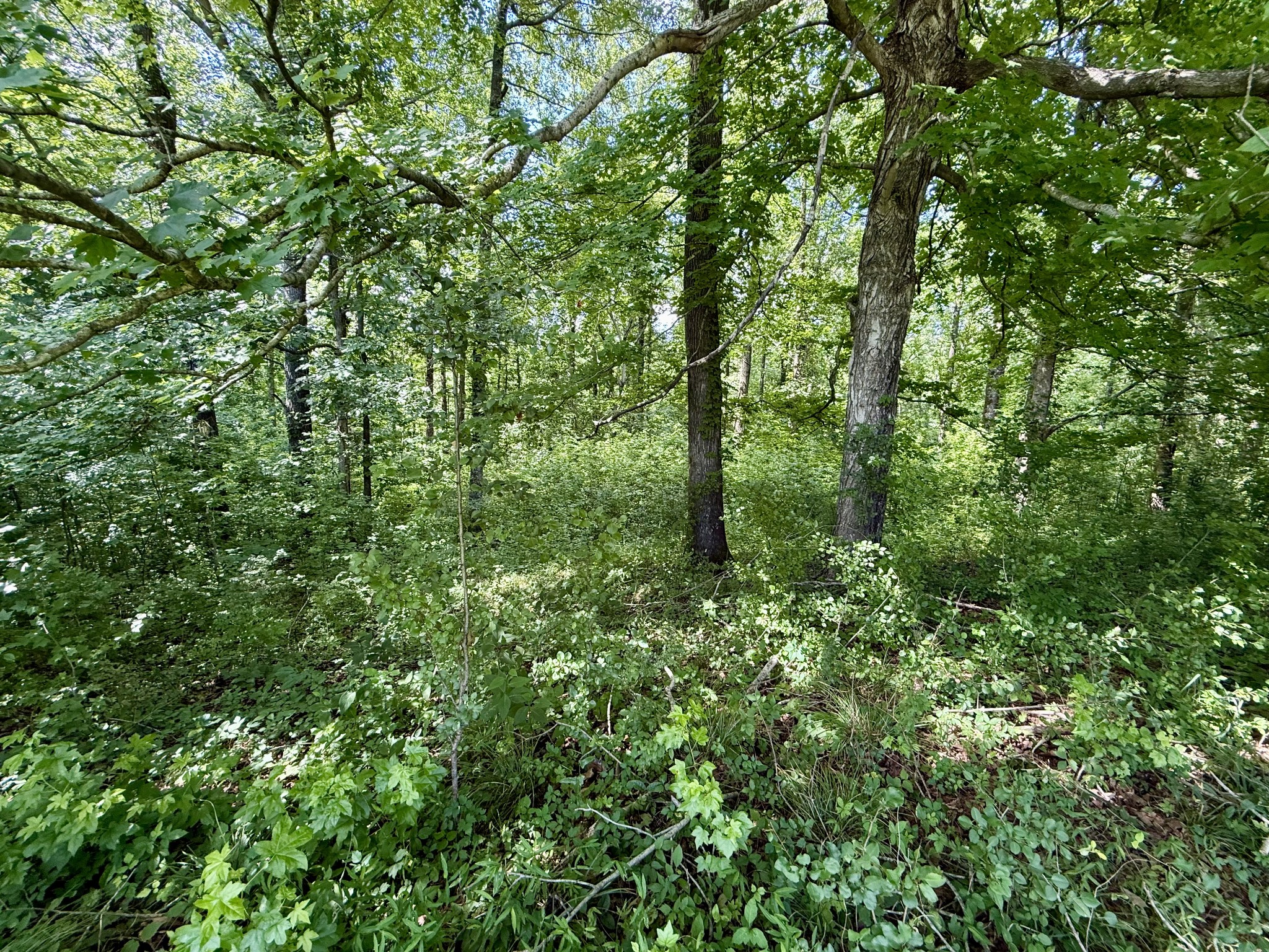 59 Hardin Loop Westpoint, TN 38486 - Photo 49 of 74
