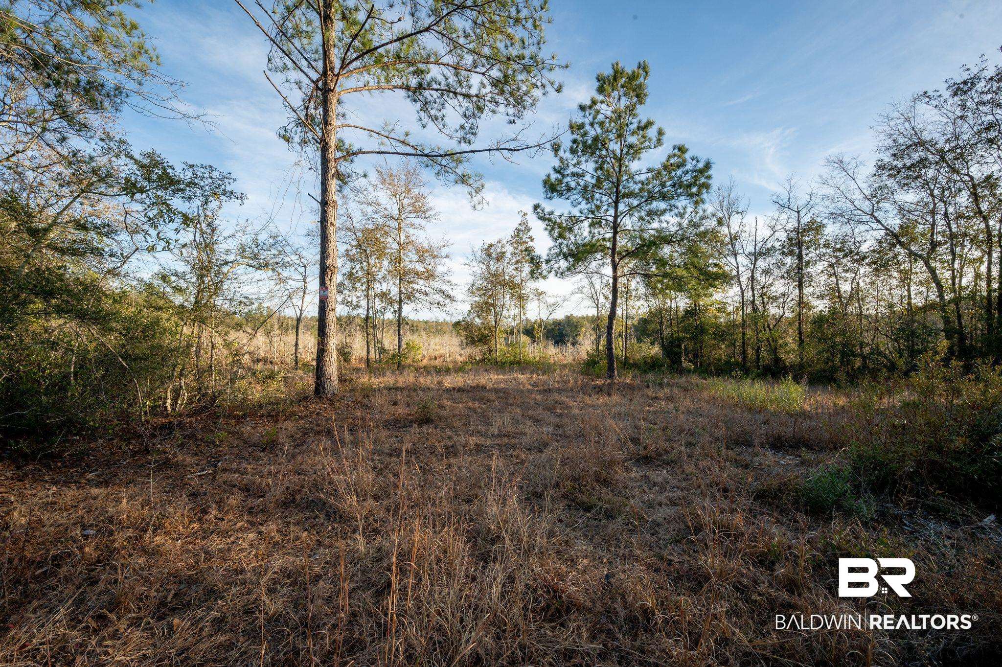 1 Beverly Jeffries Highway Citronelle, AL 36522 - Photo 10 of 12