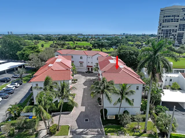 an outdoor space with plants and large trees
