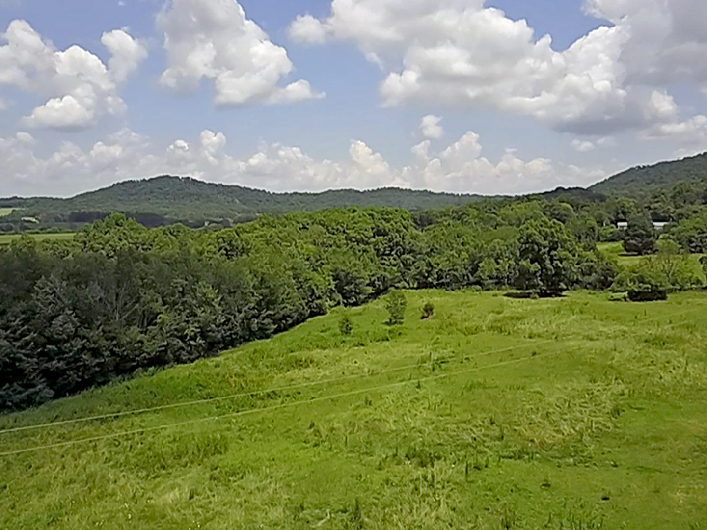 0 Cecil Lockhart Road, Unit 1 New Market, TN 37820 - Photo 4 of 19 4