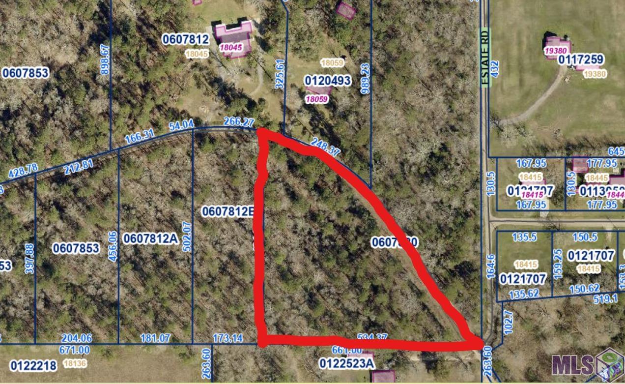 Tmr-4-a-2 Watts Road Livingston, LA 70754 - Photo 2 of 2 Gallery Image 2