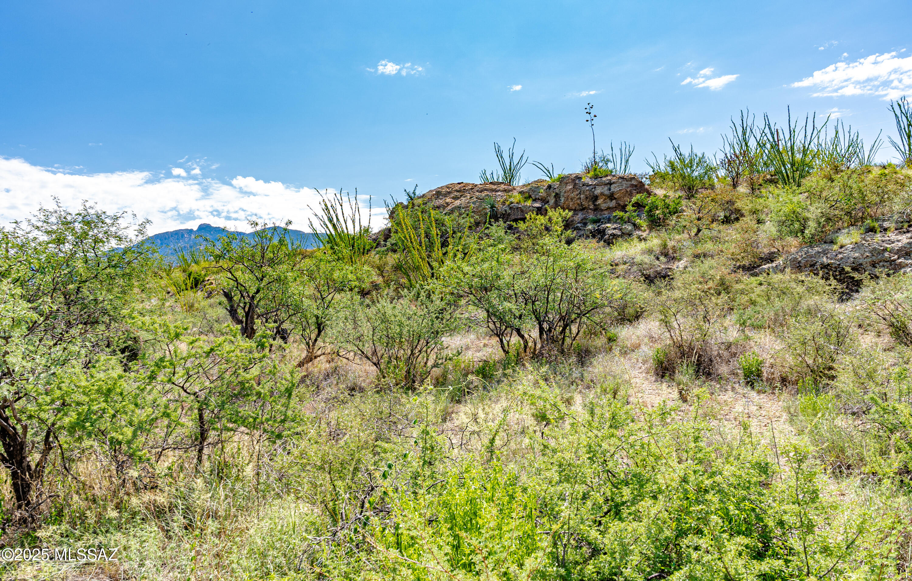 Tbd South Pistol Hill Road Vail, AZ 85641 - Photo 25 of 37