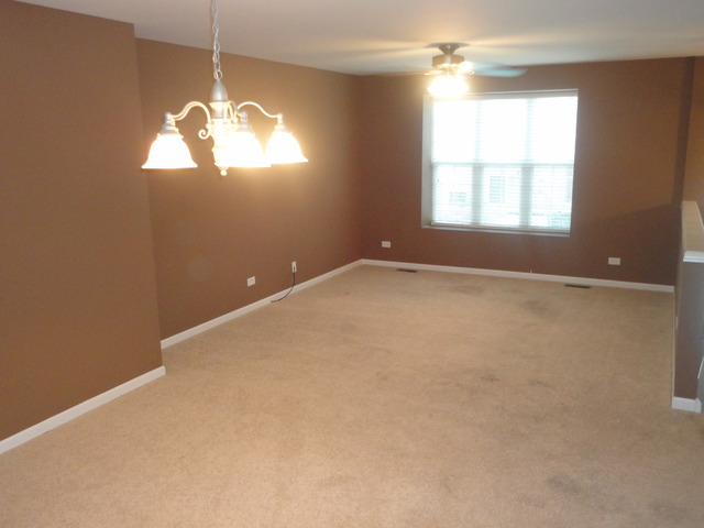 2909 Neubauer Circle Lindenhurst, IL 60046 - Photo 11 of 16