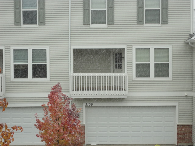 2909 Neubauer Circle Lindenhurst, IL 60046 - Photo 10 of 16