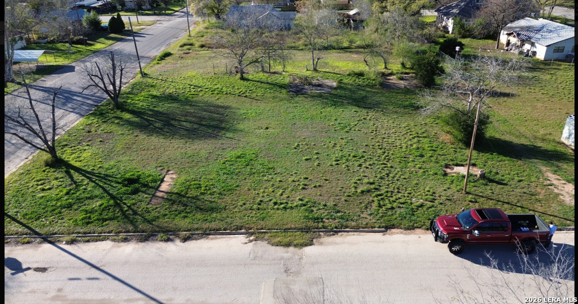 an outdoor view of garden with lots of trees
