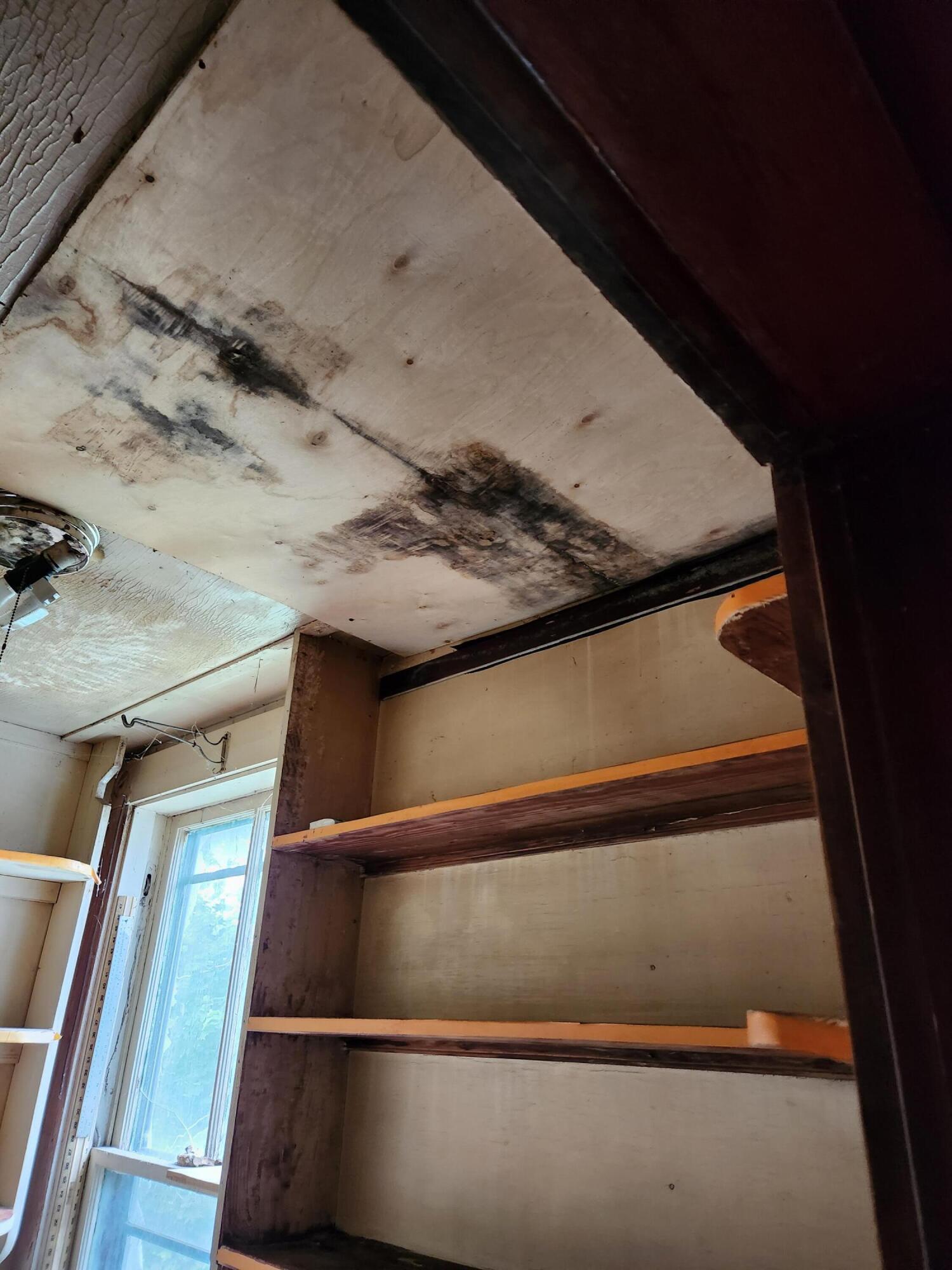 21 Mills Road Newcastle, ME 04553 - Photo 25 of 48 20230814_132348