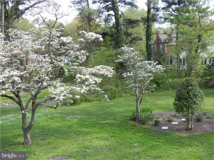 311 Smithfield Road Wallingford, PA 19086 - Photo 14 of 25 View in Back