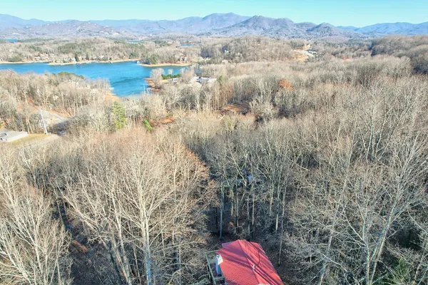 a view of a tree with brick wall