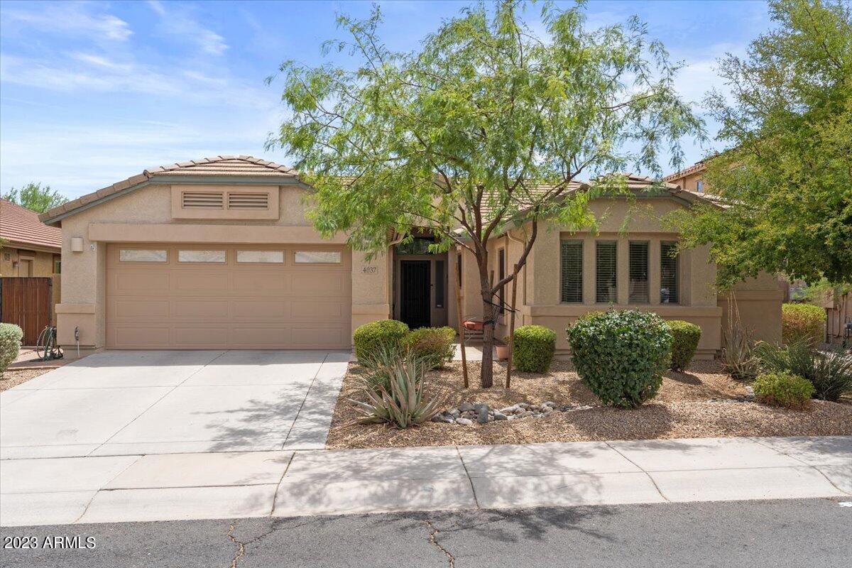 4037 East Hashknife Road Phoenix, AZ 85050 - Photo 1 of 35 01-Front of Home