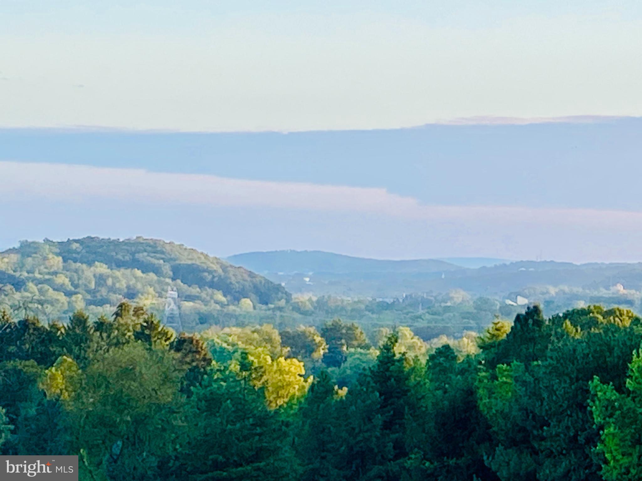 25 Lenape Road Barto, PA 19504 - Photo 40 of 47 View from the back yard