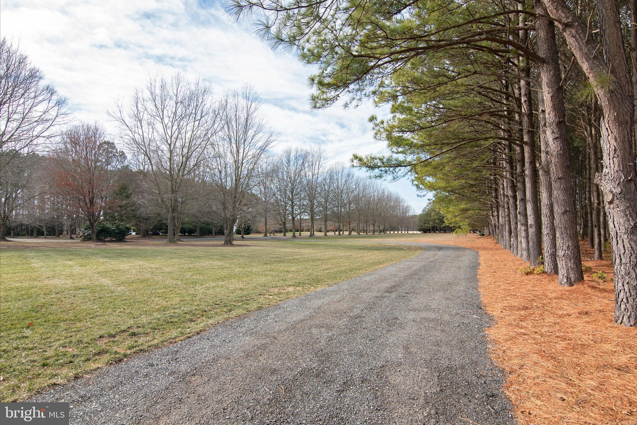 21825 Langdon Farm Road Sherwood, MD 21665 - Photo 9 of 47 a view of outdoor space yard and trees