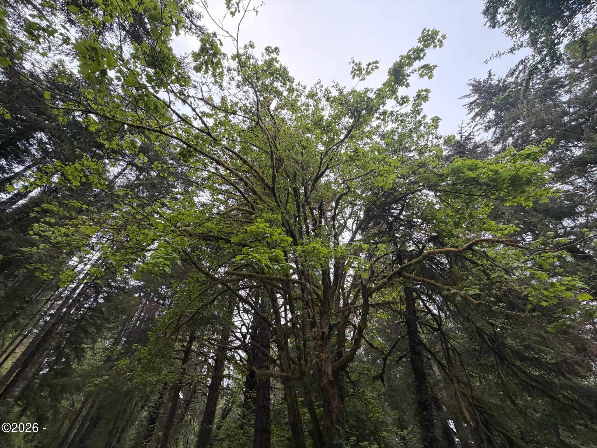 1916 Northeast Wagon Road Toledo, OR 97391 - Photo 26 of 33