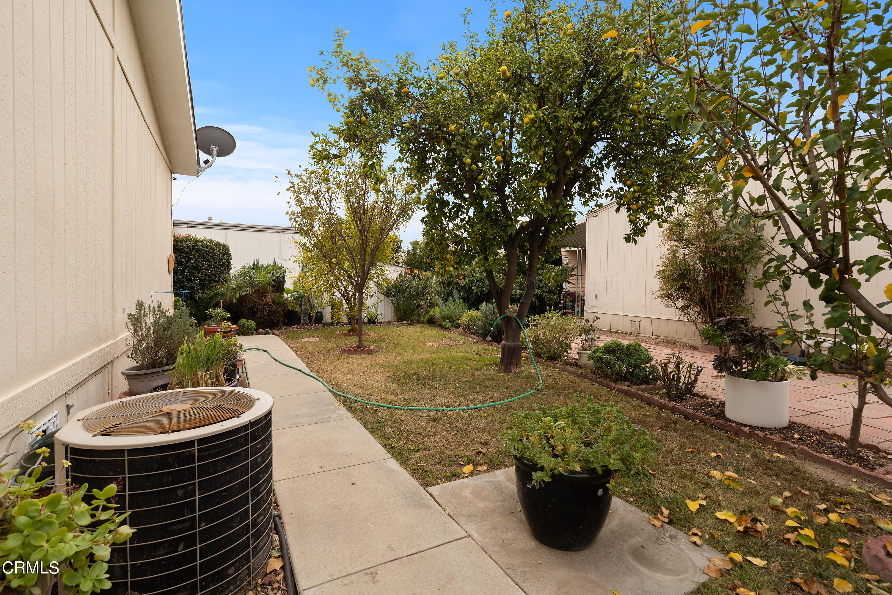 250 East Telegraph Road, Unit 214 Fillmore, CA 93015 - Photo 30 of 32 rear yard