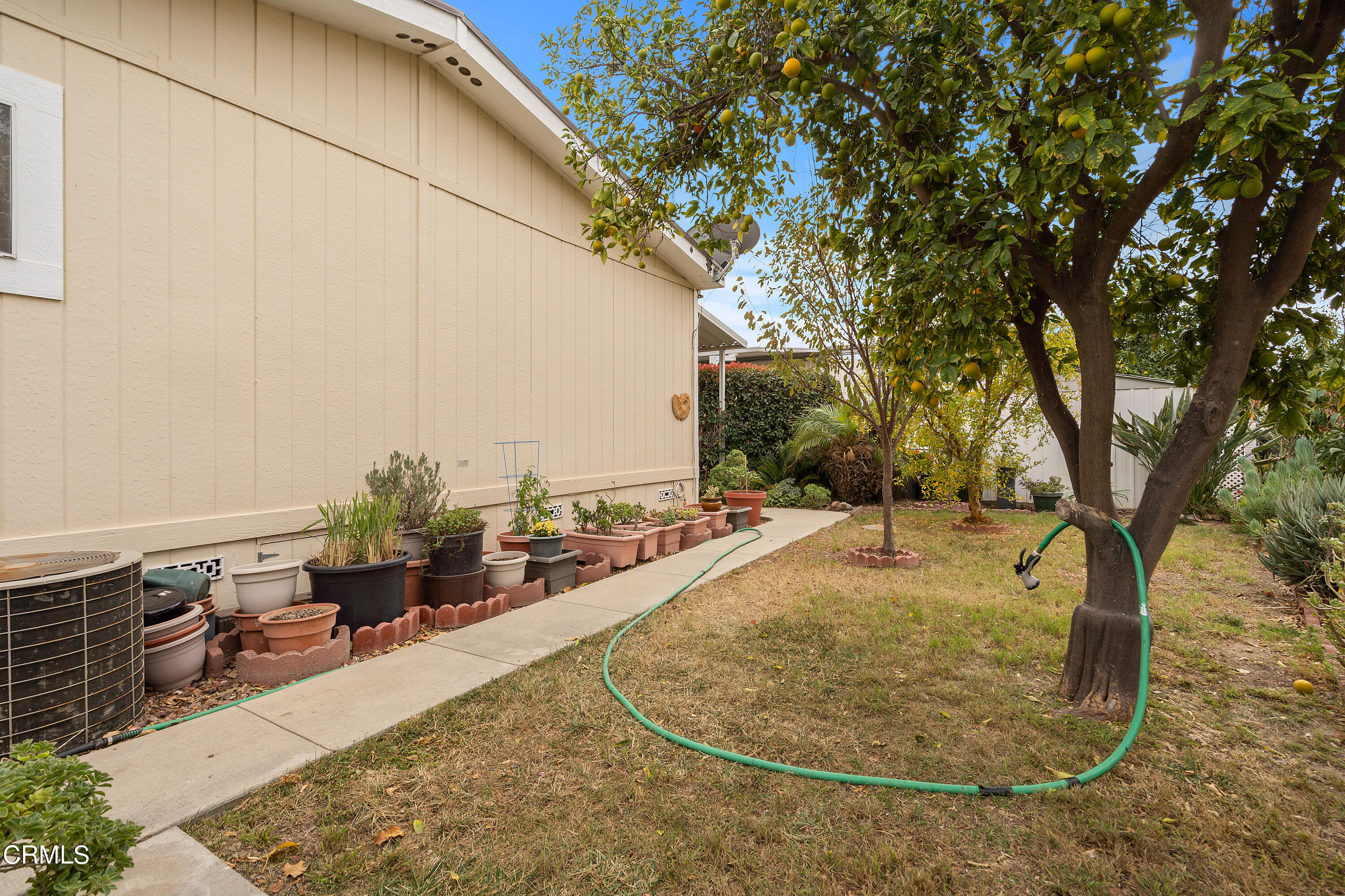 250 East Telegraph Road, Unit 214 Fillmore, CA 93015 - Photo 31 of 32 rear yard 2