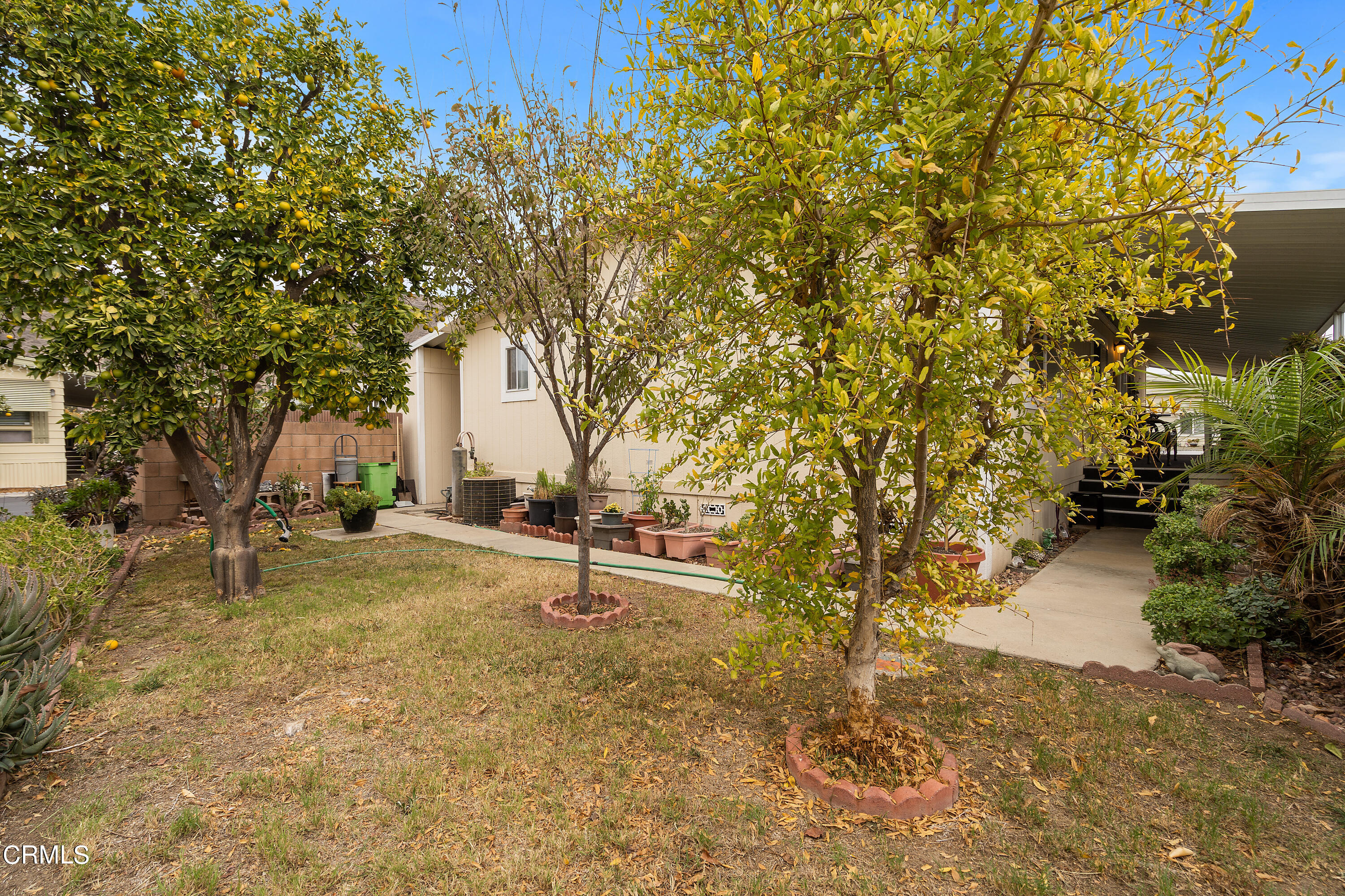 250 East Telegraph Road, Unit 214 Fillmore, CA 93015 - Photo 32 of 32 rear