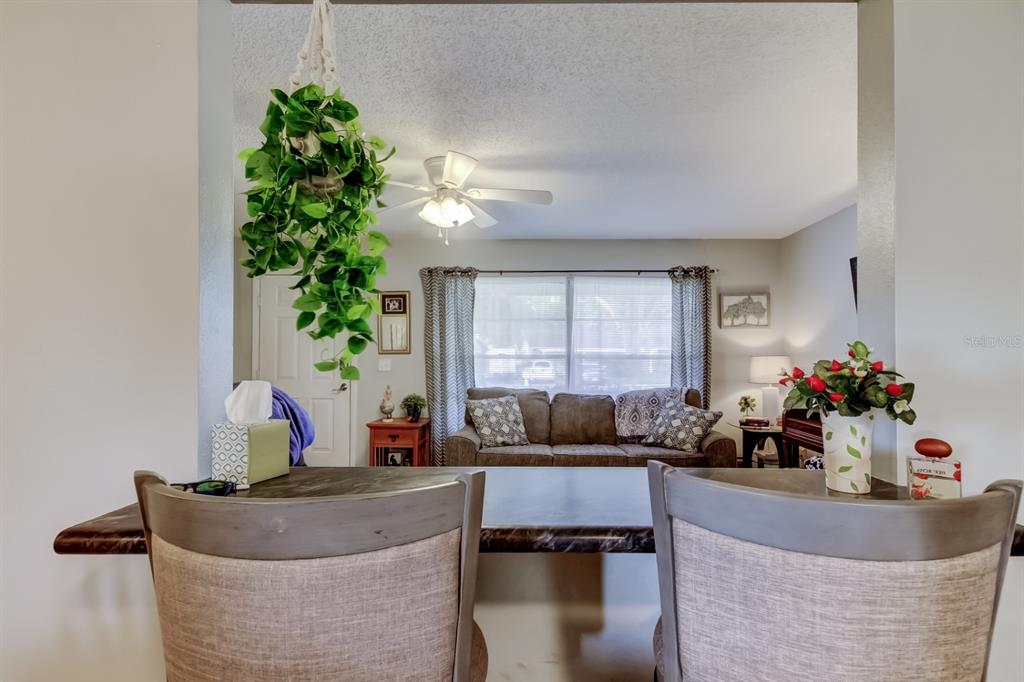 39748 Meadowood Loop Zephyrhills, FL 33542 - Photo 9 of 40 a living room with furniture and a potted plant