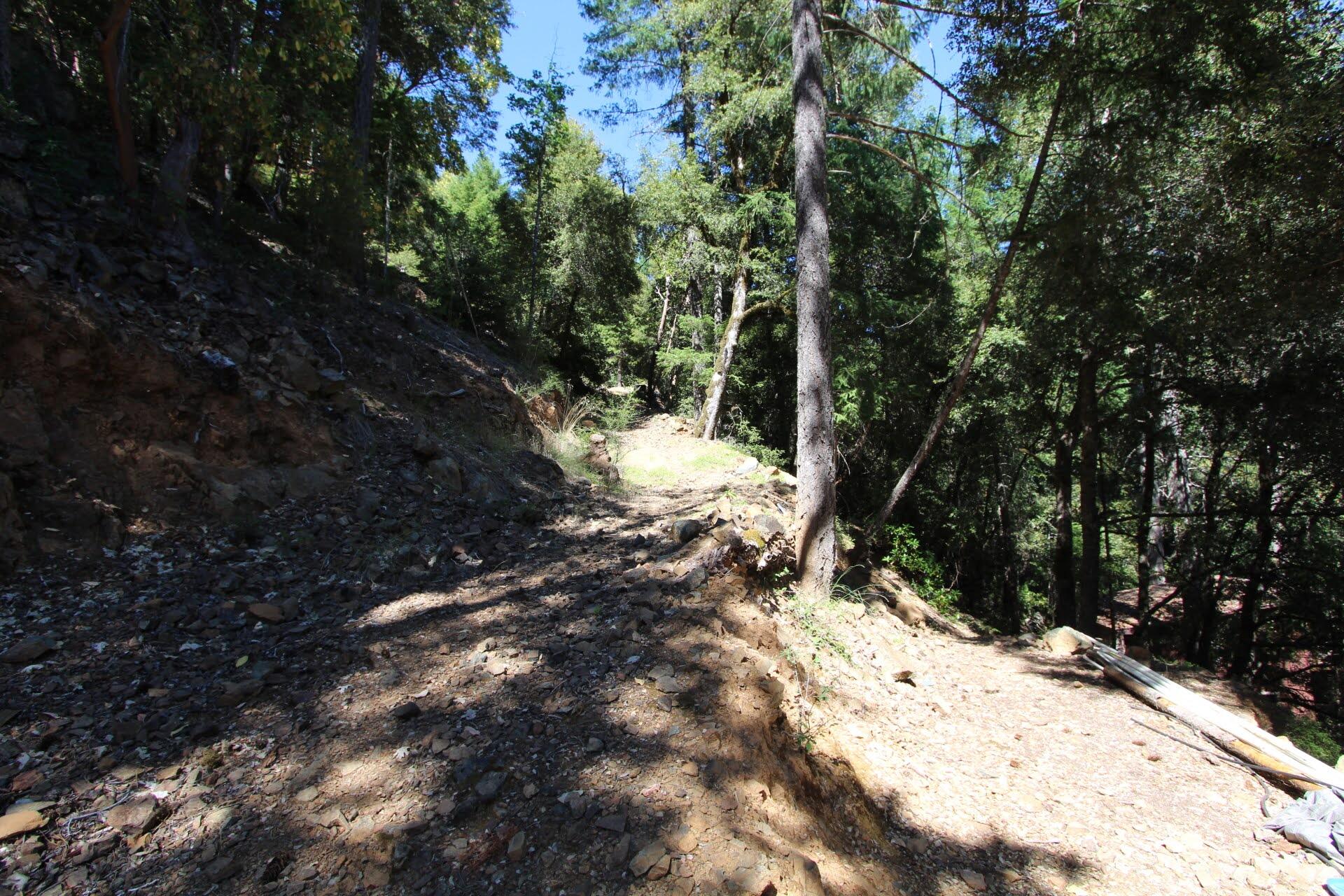 114 Forest Creek Road Selma, OR 97538 - Photo 16 of 27 IMG_4926(1)