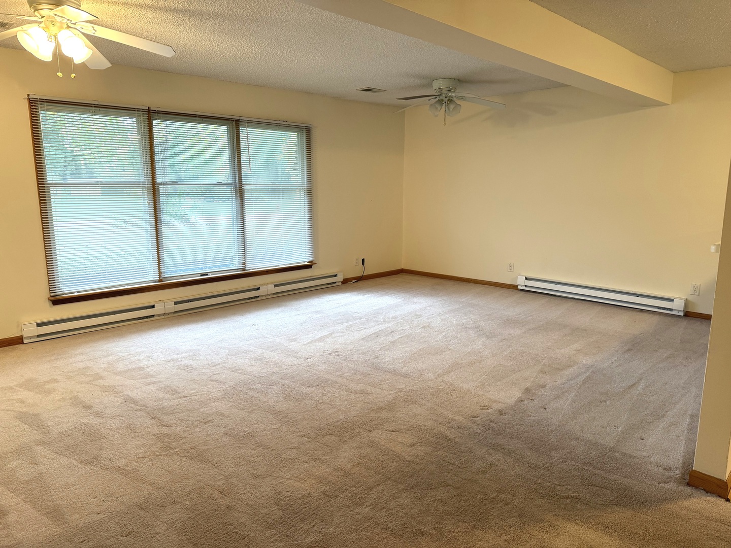 532 West Street, Unit 4 Lockport, IL 60441 - Photo 7 of 14 an empty room with windows