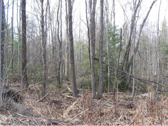 Old Mason Road Greenville, NH 03048 - Photo 1 of 1
