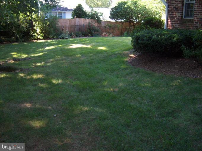 5222 Light Street Springfield, VA 22151 - Photo 3 of 28 Back yard