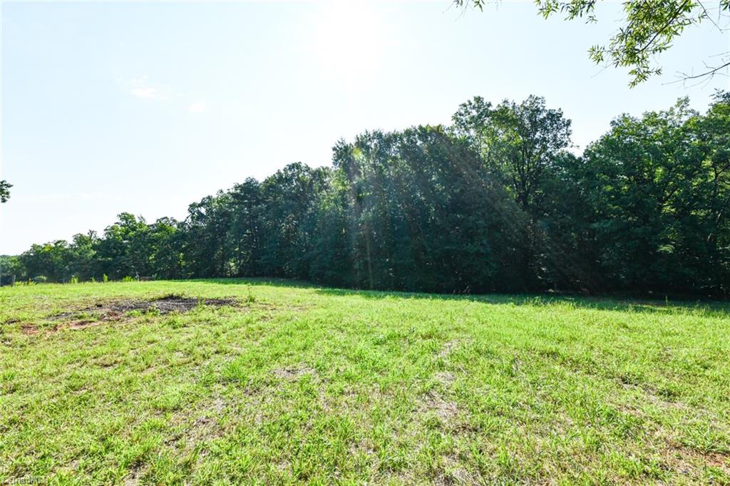 595 Quesinberry Road Eden, NC 27288 - Photo 41 of 45 Backyard lot view