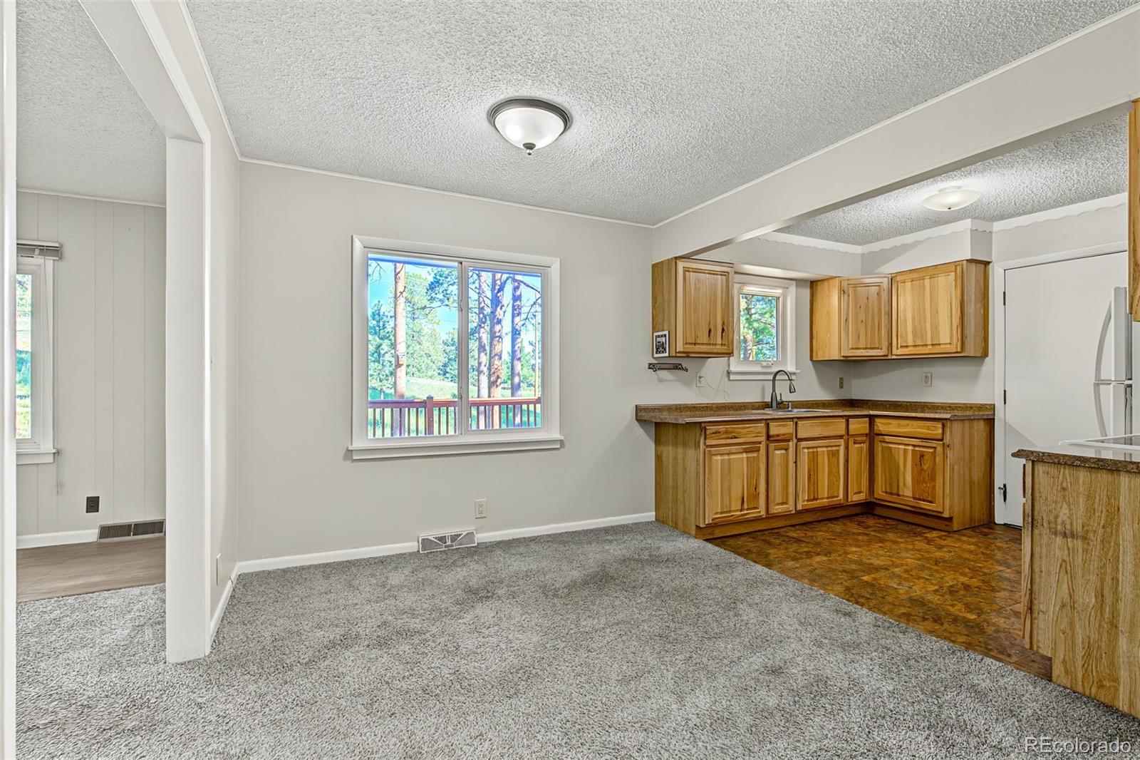 29592 Dorothy Road Evergreen, CO 80439 - Photo 7 of 36 Gallery Image 7