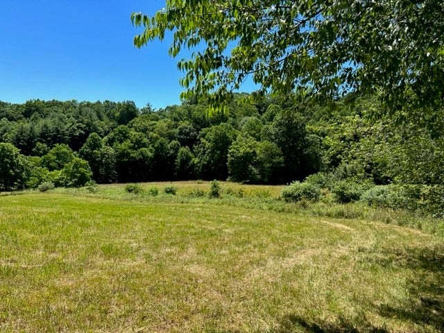 Tbd Razor Ridge Road, Unit 30A58C Troutdale, VA 24378 - Photo 6 of 10 Gallery Image 6