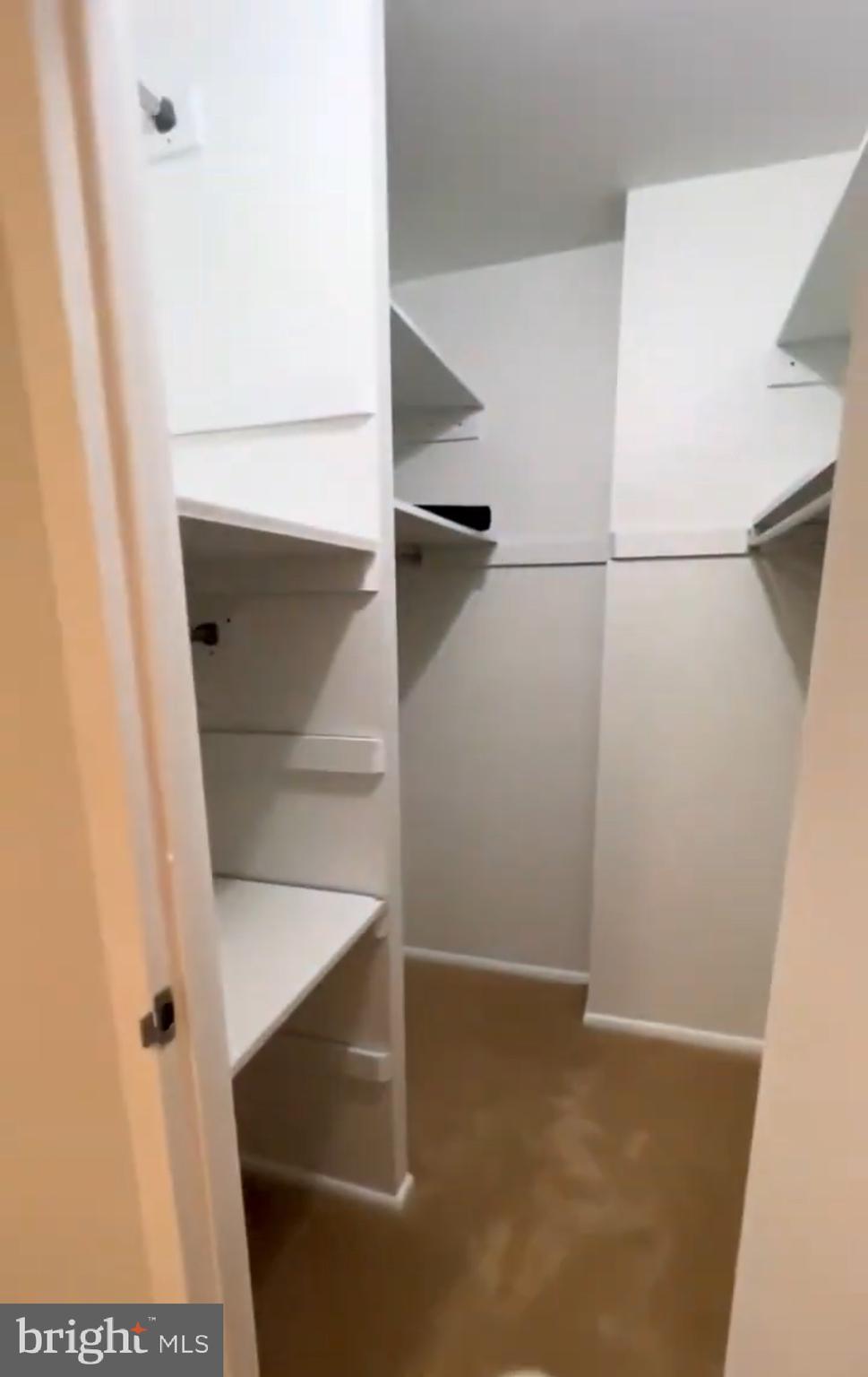 1111 University Boulevard West, Unit 501A Silver Spring, MD 20902 - Photo 7 of 11 a view of walk in closet