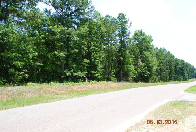 0 Jim Joe Usry Road Avera, GA 30803 - Photo 1 of 1 Main View