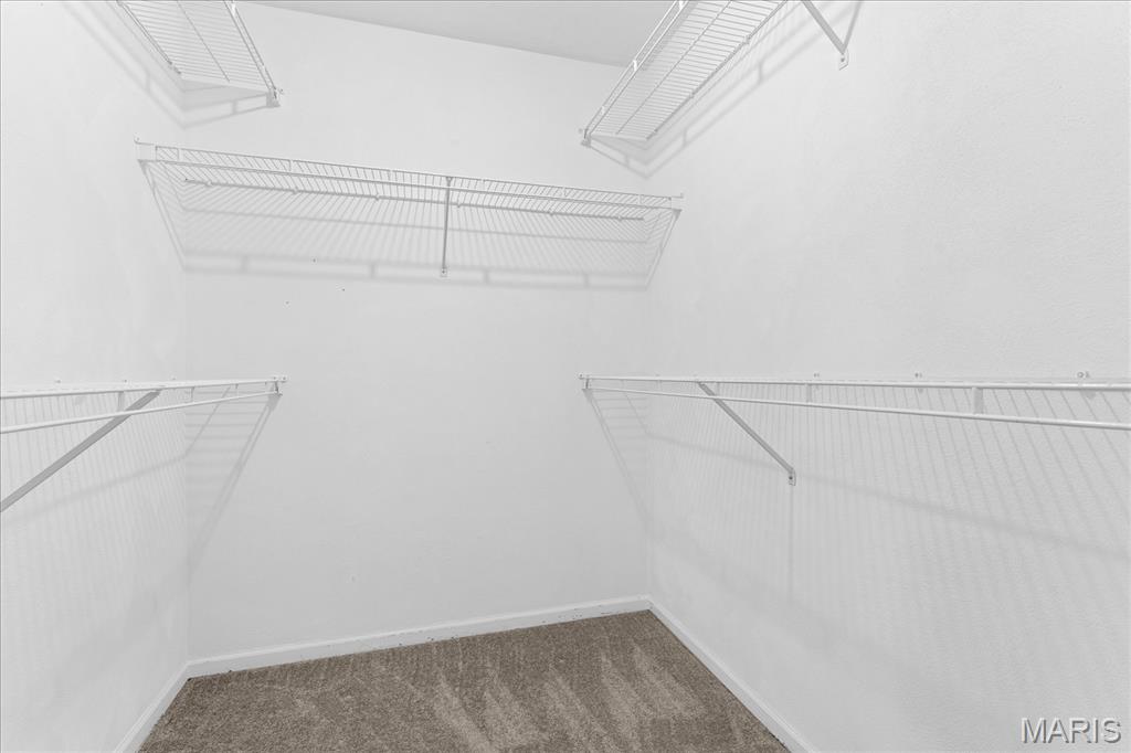 12532 Tree Line Drive Highland, IL 62249 - Photo 36 of 64 Gallery Image 36