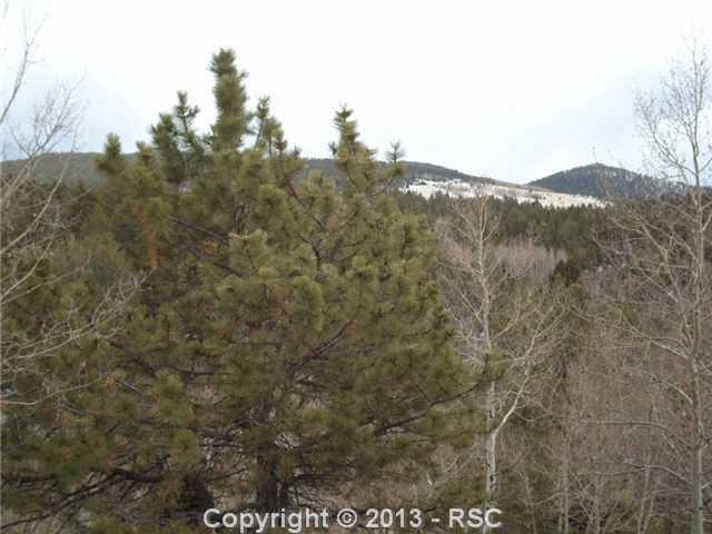 340 Princess Road Cripple Creek, CO 80813 - Photo 8 of 10 Gallery Image 8