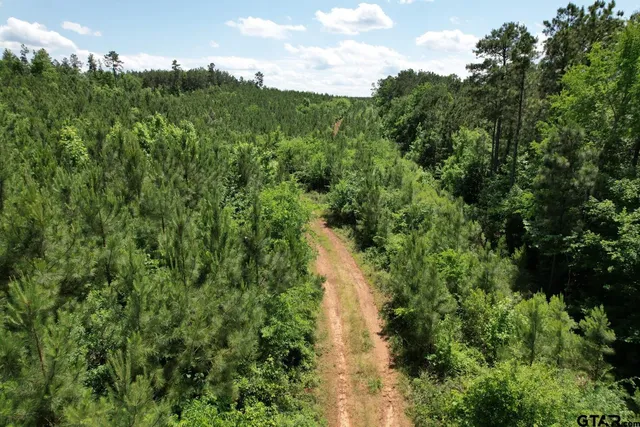 a view of a lake with a building in the background