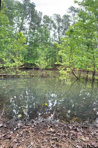 a water view of a city