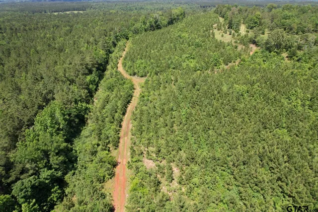 a view of a forest with a houses