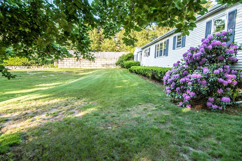 79 Park Street Dedham, MA 02026 - Photo 26 of 29 a house view with garden space