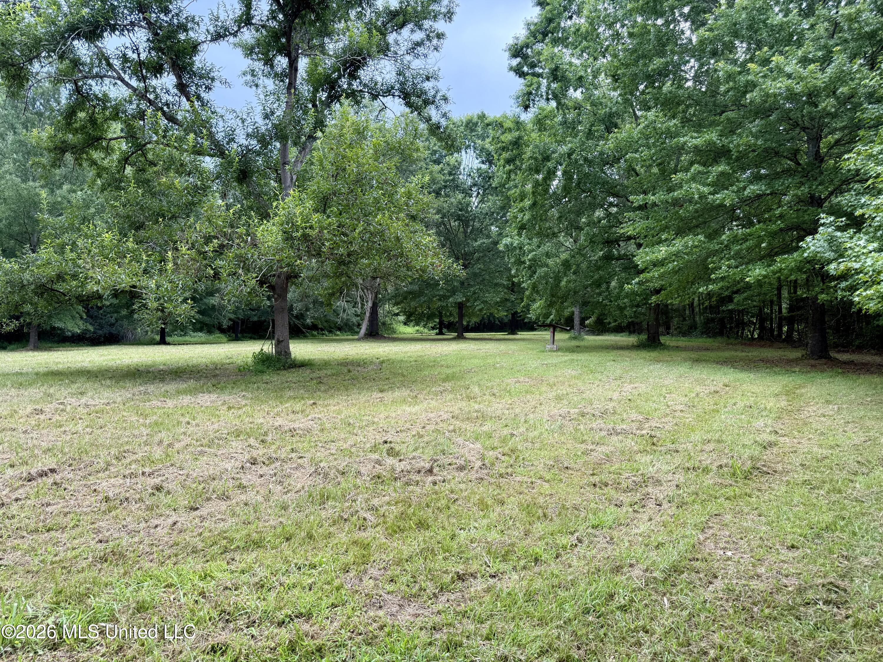 568 Smith-Bailey Road Durant, MS 39063 - Photo 19 of 81 Photo Jul 02 2026, 2 31 10 PM