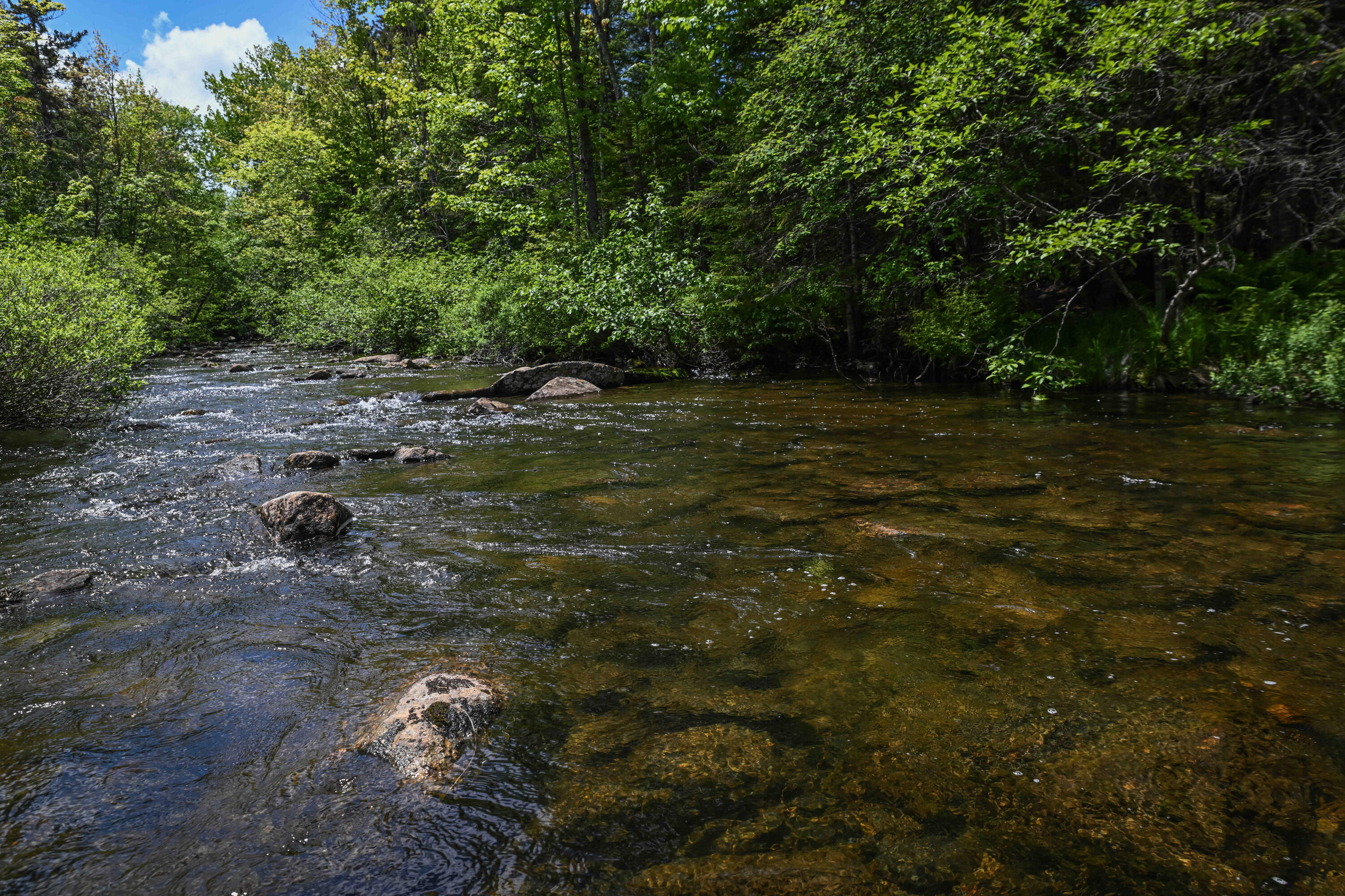 Miner Land on Beaver Mtn Rd -1